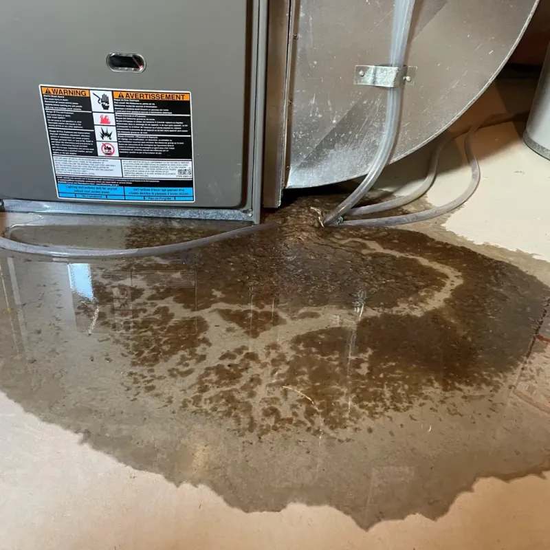 Appliance Leak Cleanup in West Lafayette, IN